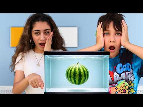 Heidi बनाम Zidane डूबेगा या तैरेगा चैलेंज असली फलों के साथ! 🍎😂 बच्चों का रोमांच | Hindi kahaniya thumbnail