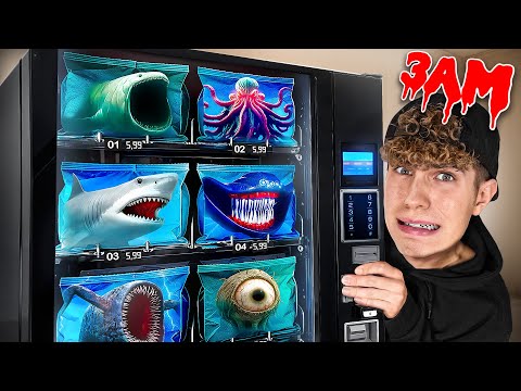 ÖFFNE NIEMALS MYSTERY BLOOP SEA EATER EL GRAN MAJA AUTOMAT PÄCKCHEN um 3 UHR!! thumbnail