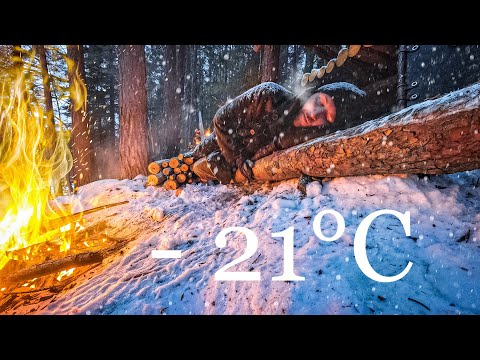 ИСПЫТАНИЕ МОРОЗОМ: НОЧЕВКА в ЗИМНЕМ ЛЕСУ без ПАЛАТКИ и СПАЛЬНИКА! ВЫЖИТЬ в МЕТЕЛЬ - ЛАГЕРЬ ВЫЖИВШИХ thumbnail