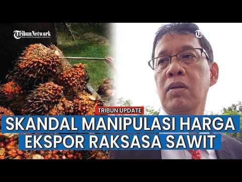 TERBONGKAR! Purbaya Kantongi 10 Perusahaan Besar CPO Diduga Manipulasi Harga Ekspor thumbnail