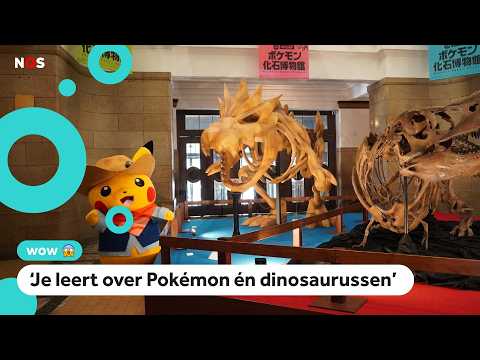 Dit museum staat vol Pokémon-skeletten: 'Lijken net echte dieren' thumbnail