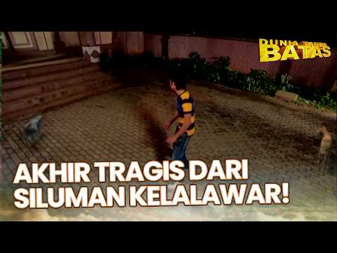 Akhir Tragis Siluman Tampan Di Antara Kawanan Kucing | KUTUKAN SILUMAN LOWO IRENG |DUNIA TANPA BATAS thumbnail