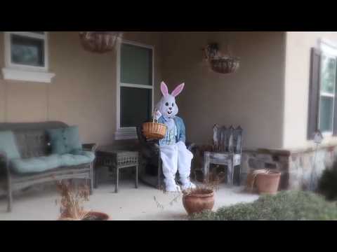 Easter Traditions  ESL⁄ESOL⁄EFL | English Task thumbnail