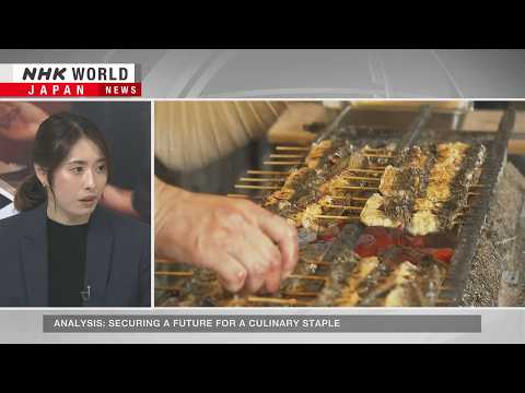 Fully farmed eel to be sold in Japan for the first timeーNHK WORLD-JAPAN NEWS thumbnail