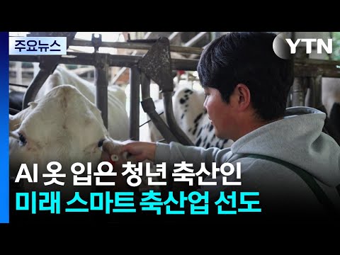 AI 옷 입은 청년 축산인...미래 스마트 축산업 선도 / YTN thumbnail
