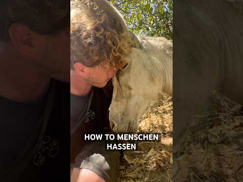 Menschen tun mal wieder ihre Menschendinge 🫏💔 thumbnail