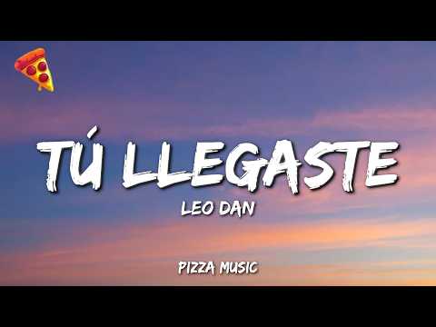 Leo Dan - Tú Llegaste Cuando Menos Te Esperaba (Lyrics) thumbnail