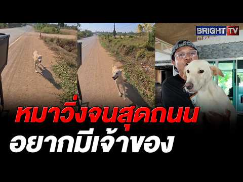 น้ำตาคลอ! หมาขาว วิ่งตามรถ พอรู้เหตุผลยิ่งสงสาร thumbnail