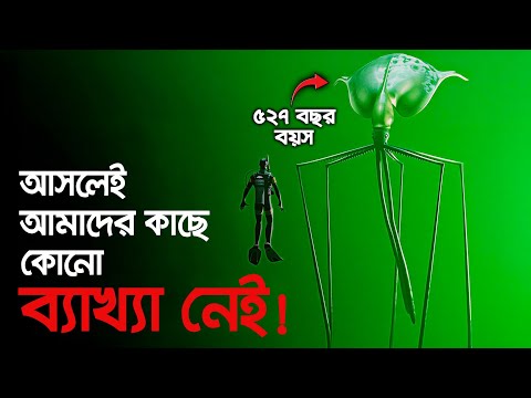 বিজ্ঞান ও এদের ব্যাখ্যা ঠিকমতো দিতে পারে না! এলিয়েন ও স্বাভাবিক মনে হবে এদের দেখলে !  thumbnail