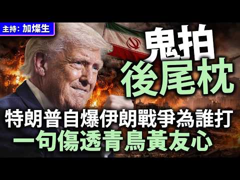 鬼拍後尾枕 特朗普自爆伊朗戰爭為誰打 一句傷透青鳥黃友心 thumbnail