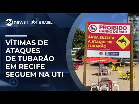 Jovem e criança atacados por tubarão no Recife seguem em estado grave na UTI | #SBTBrasil thumbnail