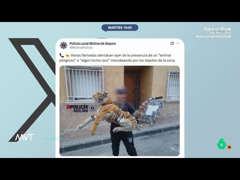 Un tigre de peluche siembra el pánico en Molina de Segura - Más Vale Tarde thumbnail