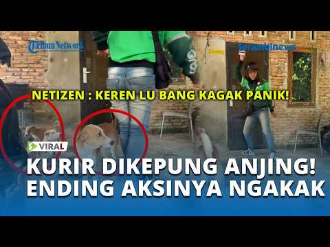 Kurir Paket Dikepung Anjing, Ending Aksinya Malah Bikin Ngakak! thumbnail