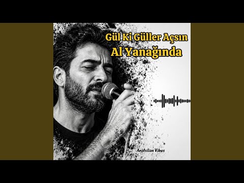Gül Ki Güller Açsın Al Yanağında (Live Version) thumbnail