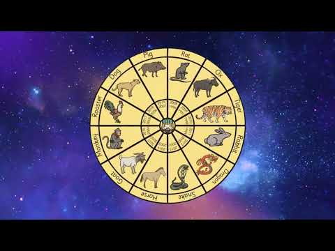 Chinese New Year Zodiac Animal Characteristics | Character Traits  Personality Adjectives thumbnail