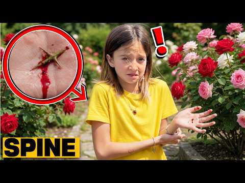🌹 FIGLIACHIARA si punge con le spine delle rose 😱 Mano piena di spine! MAMMAGIULIA la aiuta ❤️ thumbnail