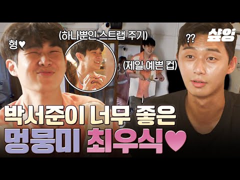 [#여름방학] 형 좋아 댕댕이 ૮ ฅ•ᴥ•აฅ 박서준 오자마자 투명하게 기분 좋아진 최우식ㅋㅋ♡ thumbnail