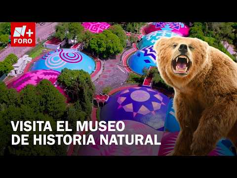 Ciencia y deporte se unen en el Museo de Historia Natural thumbnail
