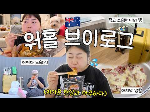 맵싹한 물가 시드니에서 내 집 찾기 여정??? 나홀로 인스펙션 • 독방 가격 • 마트 치킨 • 강아지와 작별인사?? • 뉴타운 소품샵 • 레쥬메 프린트 thumbnail
