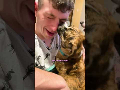 Dog Found Shaking In A Ditch Now Dances With Her Whole Body | The Dodo thumbnail