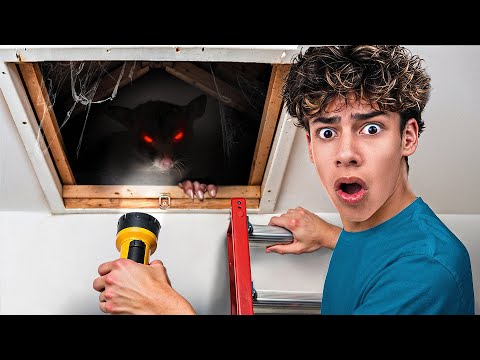 There's Something LIVING in our Attic thumbnail
