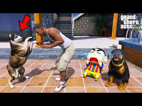 Franklin Brings a New Dog in His House in GTA 5 | SHINCHAN and CHOP thumbnail
