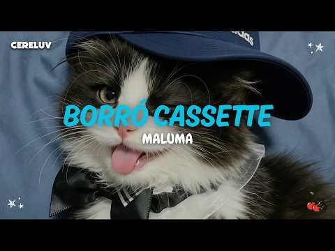 Maluma - Borró Cassette (Letra) thumbnail