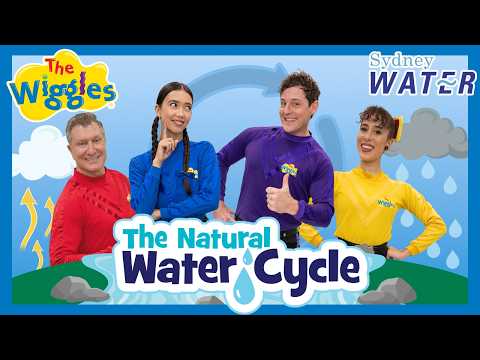 The Natural Water Cycle 💧 The Wiggles + Sydney Water thumbnail