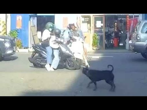 【車禍影片】黑：發生啥事（2026.05.25 彰化縣鹿港鎮永安三路 thumbnail