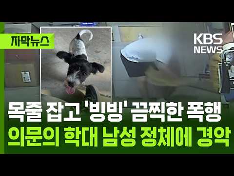 [자막뉴스] 목줄 잡고 '빙빙' 끔찍한 폭행…의문의 학대 남성 정체에 경악 / KBS 2026.05.30. thumbnail