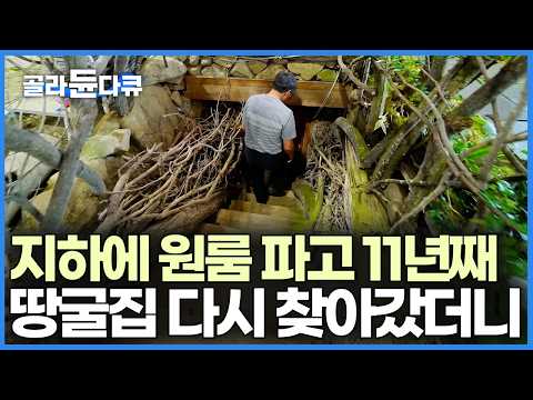 11년 전 자신만 들어가 살 수 있는 집을 땅속에 직접 지었다, 2026년 현재 땅굴 집에서 어떻게 사는지 찾아가 보니｜한국기행｜#골라듄다큐 thumbnail