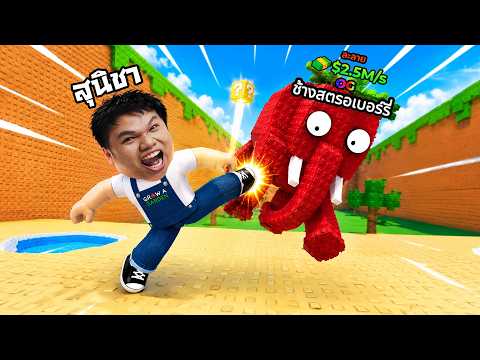 ช่วยด้วยยย ลุงเหม็นติดแมพนี้ | Roblox Kick Lucky Block thumbnail