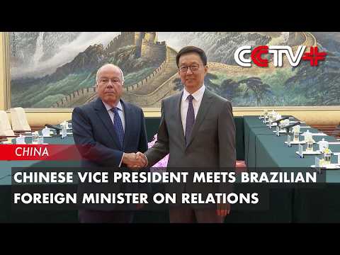 Chinese Vice President Meets Brazilian Foreign Minister on Relations thumbnail