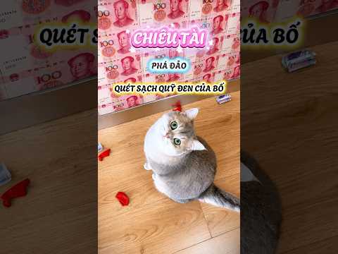Chiêu Tài phá đảo quét sạch quỹ đen của bố #viral #viralreelsシ #viralshorts #viralvideos #viralshort thumbnail