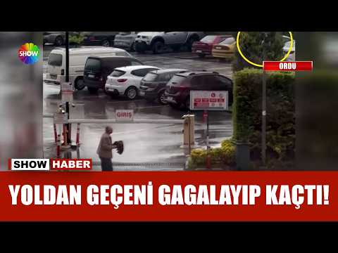 Yol kesen eşkıya karga! thumbnail