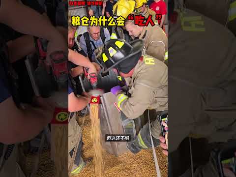 为什么粮仓会吃人，请注意防范措施！ #感人壹幕 #科普 #大熱門 #funnyvideo  #影視解説 #影视聚焦 #animals #精彩影视 thumbnail