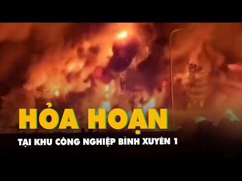 Dập tắt vụ cháy dữ dội tại khu công nghiệp Bình Xuyên 1 thumbnail