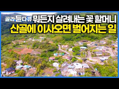 마을 전체가 내 정원이다. 손에 닿는 꽃마다 피워내는 식집사 할머니가 산골에 이사왔더니 180도 바꼈다｜한국기행｜#골라듄다큐 thumbnail