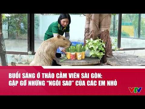 Buổi sáng ở Thảo Cầm Viên Sài Gòn: Gặp những ‘ngôi sao’ của các em nhỏ | VTV24 thumbnail