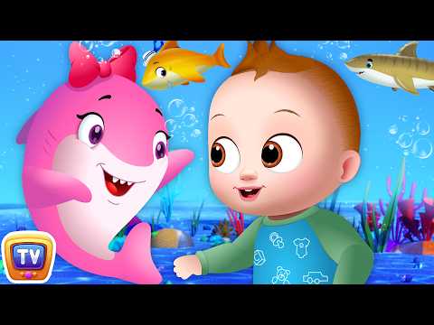 Baby Shark + More | Baby Shark Doo Doo, Park Song, ABC Song & More | 33 Min | ChuChu TV thumbnail
