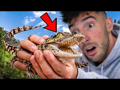 ENCONTRÉ UN COCODRILO BEBÉ EN UNA PISCINA ABANDONADA !! thumbnail
