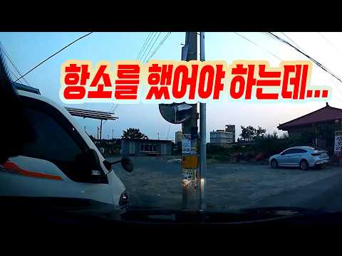 27220회. 신호등 없는 이면 도로 교차로에서 왼쪽에서 달려온 1톤 트럭과 사고 났는데, 우측 차 우선 아닌가요? thumbnail