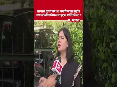 Supreme Court on Stray Dogs: आवारा कुत्तों पर सुप्रीम कोर्ट के फैसले का एक्टिविस्ट ने किया स्वागत thumbnail