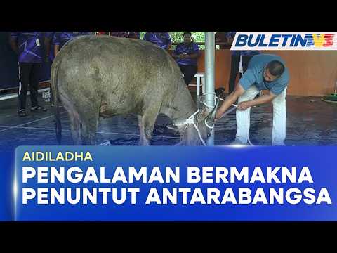 AIDILADHA | Penuntut Antarabangsa Teruja Saksi Ibadah Korban (BU) thumbnail