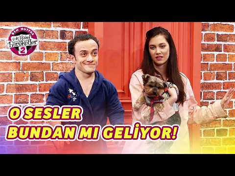 Bu Ses Bu Köpekten Mi Çıkıyor! (77.Bölüm) - Köpeğin Olurum thumbnail