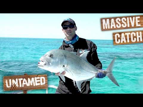 Five Different Fish, One Epic Day At The Great Barrier Reef | The Fishing Show thumbnail