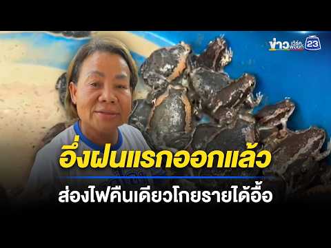 ฝนแรกมาแล้ว! ชาวบ้านมหาสารคามแห่จับ l ข่าวเที่ยงเวิร์คพอยท์ l 20 พ.ค.69 thumbnail