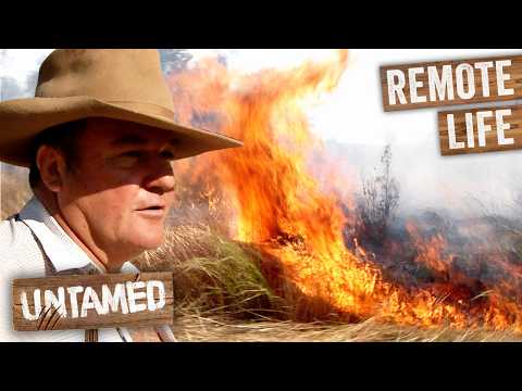 Terrifying Bushfires Threaten Outback Farm! | Keeping Up With The Joneses | Untamed thumbnail