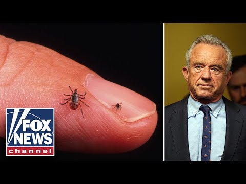 HHS SOUNDS ALARM as Lyme disease cases SURGE nationwide thumbnail