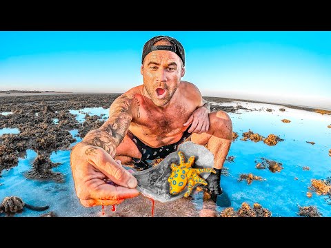My Finger Got Bit OFF - World's Deadliest Octopus thumbnail